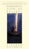Stephen Batchelor - Buddhism without Beliefs