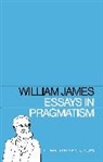 William James, Alburey Castell - Essays in Pragmatism