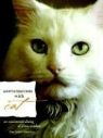 Kate Solisti-Mattelon - Conversations With Cat