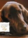 Kate Solisti-Mattelon - Conversations With Dog