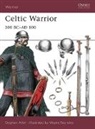 Stephen Allen, Wayne Reynolds, Reynolds Wayne - Celtic Warrior: 300 BC-AD 100