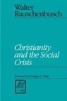 Walter Rauschenbusch, Douglas F. Ottati - Christianity and the Social Crisis