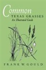 Frank W. Gould, Stephan L. Hatch - Common Texas Grasses