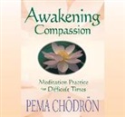 Pema Chodron - Awakening Compassion: Meditation Practice for Difficult Times (Audio book)
