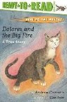 Andrew Clements, Ellen Beier - Dolores and the Big Fire