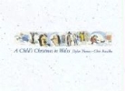 Dylan Thomas, Dylan/ Raschka Thomas, Chris Raschka - A Child's Christmas in Wales