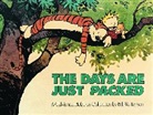Bill Watterson - Days Are Just Packed
