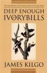 James Kilgo - Deep Enough for Ivorybills