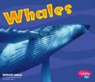 Carol K. Lindeen - Whales