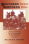 Stephen A. Vincent, Vincent Stephen a - Southern Seed, Northern Soil