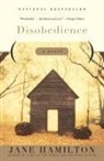 Jane Hamilton - Disobedience