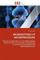 Bruno Guiard - NEUROPEPTIDES ET ANTIDÉPRESSEURS