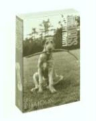 Elliot Erwitt, Elliott Erwitt, P G Wodehouse, Elliott Erwitt - Dog Dogs