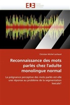 Christian Michel Lachaud, Lachaud-c - Reconnaissance des mots parles
