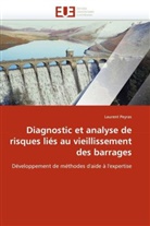Laurent Peyras, Peyras-L - Diagnostic et analyse de risques