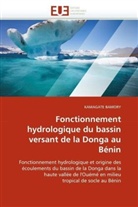 KAMAGATE BAMORY, Bamory-K - Fonctionnement hydrologique du