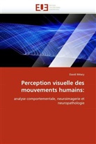 David Méary, Meary-D - Perception visuelle des
