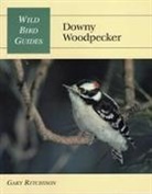 Ritchison, Gary Ritchison - Downy Woodpecker
