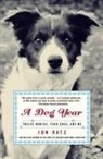 Jon Katz - A Dog Year