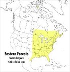 John Kricher, John C. Kricher, John C./ Morrison Kricher, Gordon Morrison, National Audubon Society, John Kricher... - A Peterson Field Guide To Eastern Forests