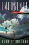 John Holland, John H Holland, John H. Holland - Emergence: From Chaos To Order