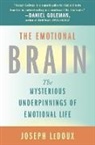Joseph Ledoux, Joseph E. Ledoux, LeDoux Joseph E. - The Emotional Brain