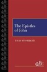 David Rensberger - The Epistles of John