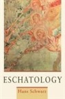 Hans Schwarz - Eschatology