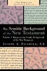 Joseph A. Fitzmyer - Essays on the Semitic Background of the New Testament
