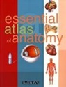 Parramon, Parramon Studios, Parramon Studios, Parramon's Editorial Team - Essential Atlas of Anatomy