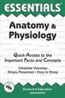 Essentials, Research &amp; Education Association, Jay Templin, Jay M Templin, Jay M. Templin - Anatomy & Physiology
