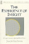 Joseph Goldstein - The experience of insight