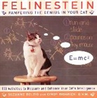 S. Delzio, Suzanne Delzio, C. Ribarich, Cindy Ribarich, Sophia Varcados - Felinestein
