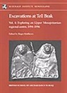 Roger Matthews, Wendy Matthews, Dr. Roger Matthews, Roger Matthews - Excavations at Tell Brak 4
