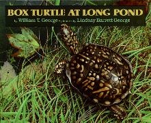 William T George, William T. George, Lindsay Barrett George, William T. George - Box Turtle at Long Pond