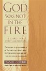 Daniel Gordis - God Was Not in the Fire