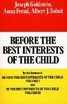 Anna Freud, Anna Freund, Joseph Goldstein, Albert J. Solnit - Before the Best Interests of the Child