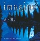Rob Gonsalves, Robert Gonsalves, Sarah L. Thomson, Thomson Sarah L., Rob Gonsalves, Robert Gonsalves... - Imagine a Night