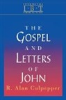 R. Alan Culpepper, Rex Matthews - The Gospel and Letters of John