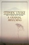 Stephen Levine - Gradual Awakening