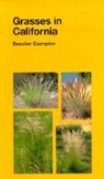 Beecher Crampton - Grasses in California