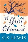 C. S. Lewis, C.S. Lewis - Grief observed -a-