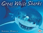 Sandra Markle - Great White Sharks