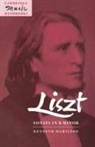 Kenneth Hamilton, Hamilton Kenneth, Julian Rushton - Liszt: Sonata In B Minor
