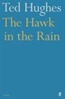Ted Hughes - Hawk in the Rain