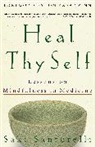 Jon Kabat-Zinn, Saki Santorelli - Heal Thy Self