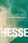 Hermann Hesse, Theodore Ziolkowski, Theodore Comp Ziolkowski - Pictor's Metamorphoses