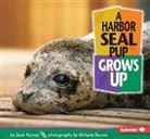 Joan Hewett, Richard Hewett - Harbor Seal Grows Up