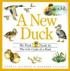Heather Collins, Hickman, Pamela Hickman, Pamela/ Collins Hickman, Collins, Heather Collins - A New Duck