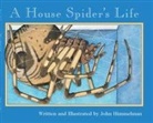 John Himmelman, John Himmelman - A House Spider's Life (Nature Upclose)